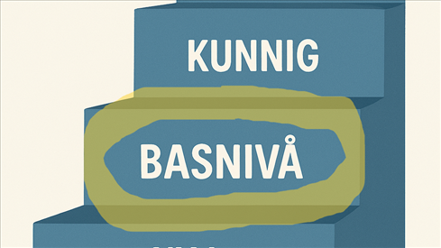 Kompetensmodellen steg 2- Basnivå(öppet program)