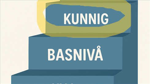 Kompetensmodellen steg 3- Kunnig(öppet program)